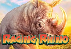 Raging Rhino Slot